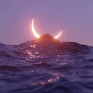 Meet your Posher, Jessy